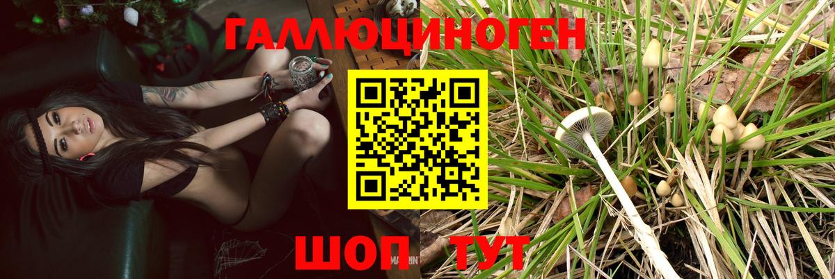 Южноуральск  Псилоцибиновые грибы ЛСД  Вход с VPN 